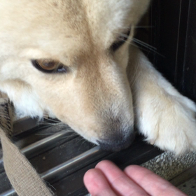 お鼻ピン♪の画像