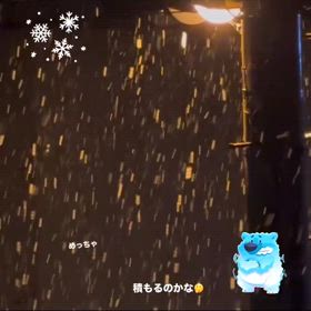 雪 降ったね…の画像