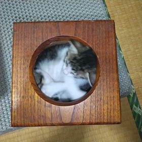 脱出ゲームの画像