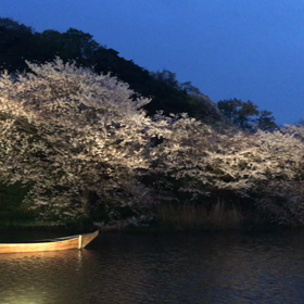 三渓園の画像