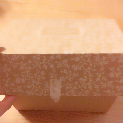 (((Ｕ 'ᴗ' Ｕ)土曜日♡りかぴの記事動画