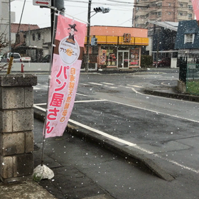 まさかの雪が…の画像