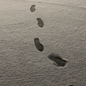 ５９７回 きれいだからの画像