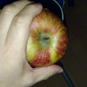 リンゴスヌーピーとその仲間動画の画像