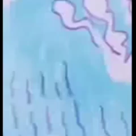 ビッグウェンズディ❗スヌーピー❗動画の画像