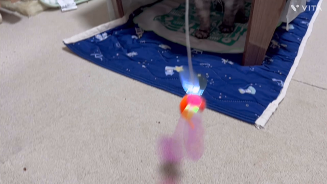 血が騒ぐオレの記事動画