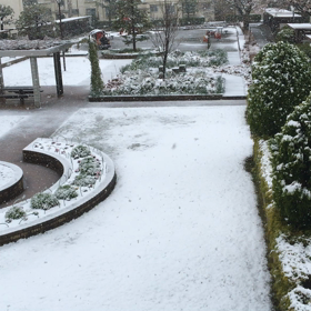 リアルなごり雪かな？の画像