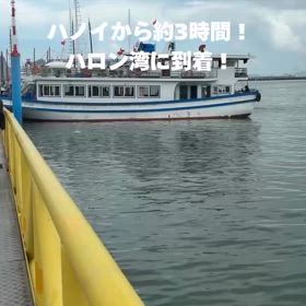 2025/07/10の画像