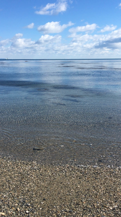 伊勢神宮ご参拝  海道日記の記事動画