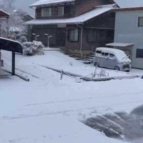民家に狐の姿の画像