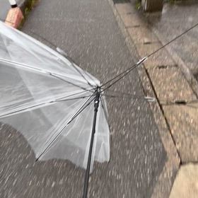 なえなえの画像
