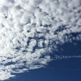 The Skyの画像