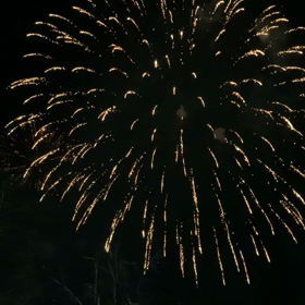 弟最後の学園祭の画像