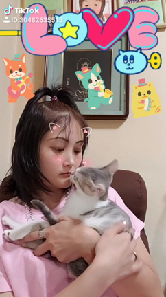 Tektokkuで再生中の記事動画
