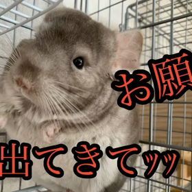 【起床】おはようございますの画像