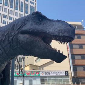 田舎だから18=恐竜王国ーの画像