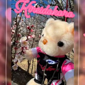 2024/03/11の画像