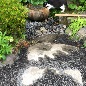 今日は世界水の日の画像