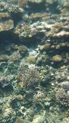 僧侶×写真家　高橋様　の記事動画