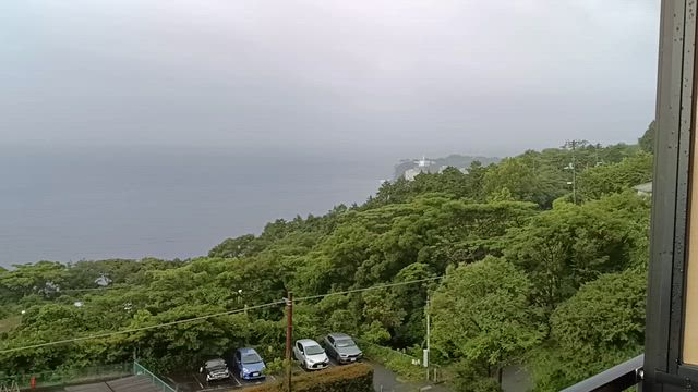 35年ぶりの再会の記事動画
