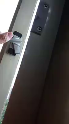 カササギは鷺じゃなかったの記事動画