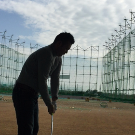 とうとうの画像