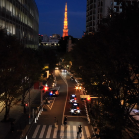 六本木ヒルズけやき坂のイルミネーション✨の画像