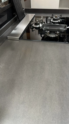 なんじゃこりゃ！めっちゃ美味しい山椒の葉の塩漬けご飯と牛肉のマスタード炒め弁当の記事動画