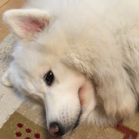 動画撮ってみましたの画像
