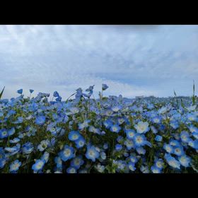 2024/04/20の画像