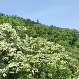 おやすみなさいの画像