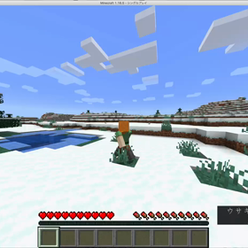 【メデランド1日目】マイクラはじめました♡の画像