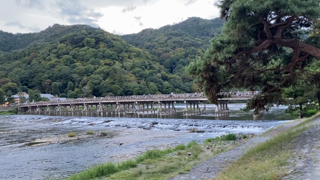 京都の記事動画