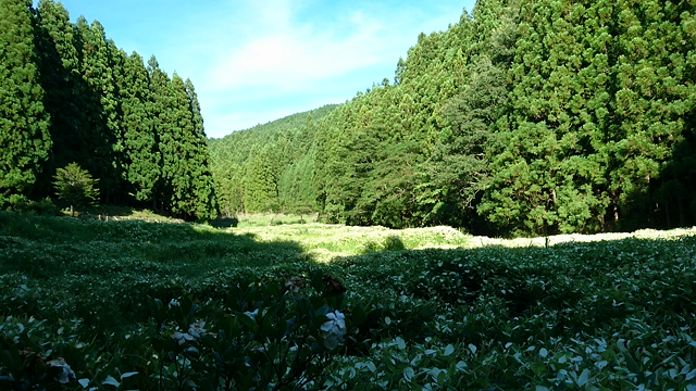 御杖(みつえ)村への記事動画