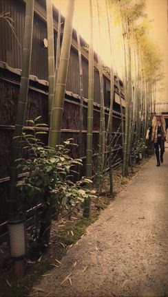 金髪王子YOSHIKI 5月30日もテレビ出演‼️の記事動画