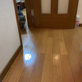 2020/02/22の画像