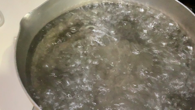 生ワカメの記事動画