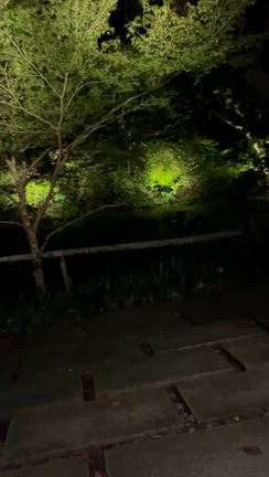 オーブがたくさん！の記事動画