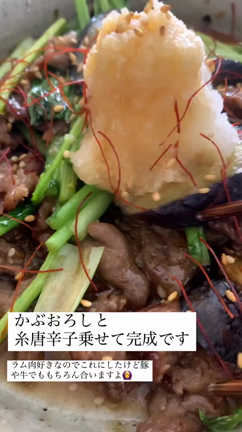 【ラム肉と茄子炒め　かぶおろし添え】の記事動画