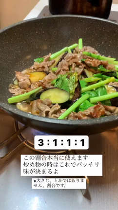 【ラム肉と茄子炒め　かぶおろし添え】の記事動画