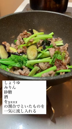 【ラム肉と茄子炒め　かぶおろし添え】の記事動画