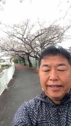 桜を鑑賞しながら１０キロランニングパトロール！の記事動画