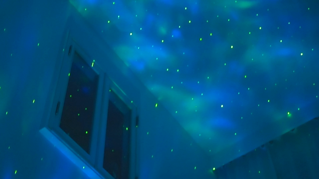 癒しの空間の記事動画