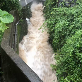 大雨の画像