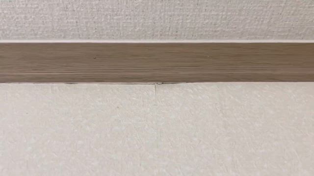 【閲覧注意！】家の中に蟻！？の記事動画