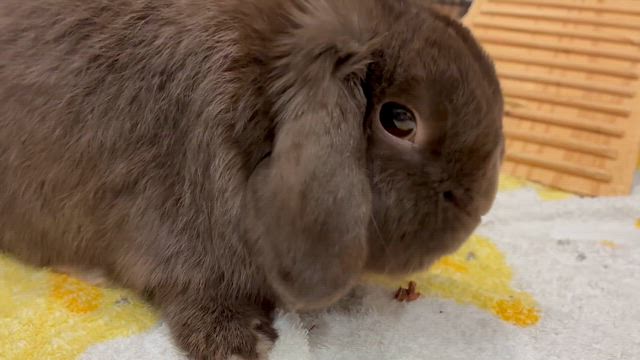 timeleszのこと等々…の記事動画