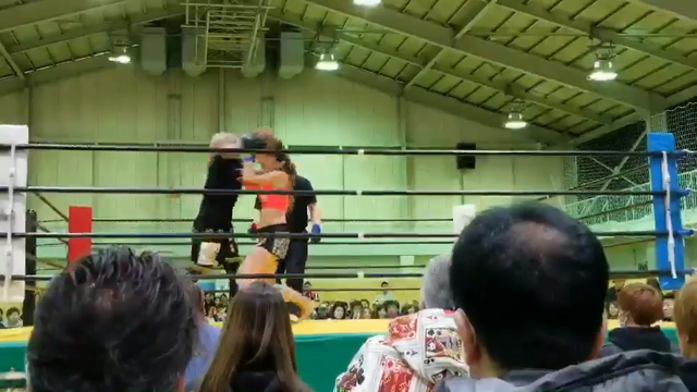 ジョーズの記事動画