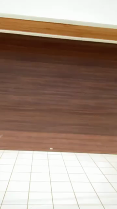 めざましの記事動画