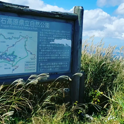 自然妊娠　頚管粘液とタイミングの記事動画