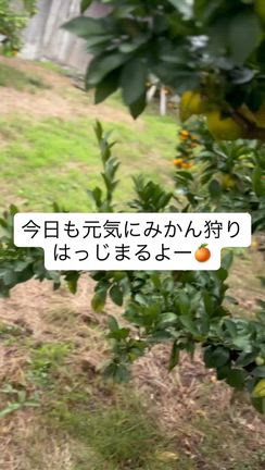 遠足の記事動画
